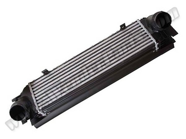 [12658]    Turbo İnterkol Radyatörü F20 F30 [N13 N47]